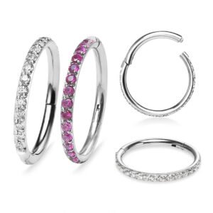 Hinged Segment Ring