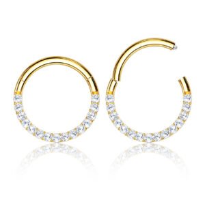 gold-pvd-steel-hinged-septum-segment-rings-with-cz-16g-psg12hczb__03094