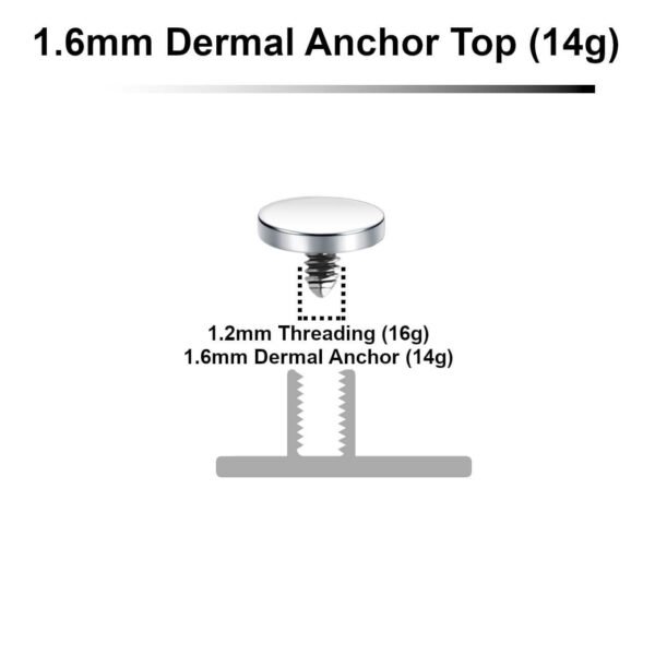 Surgical-steel-4mm-flat-disk-dermal-anchor-top-16mm-14g-sdt14di4__13468