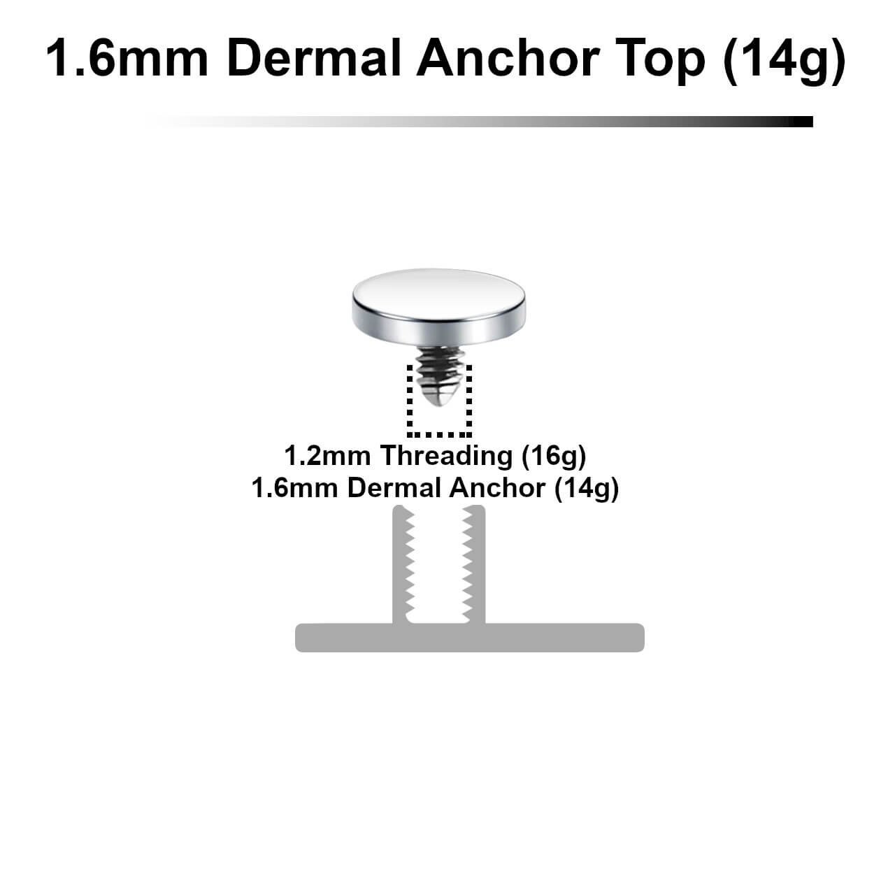 Surgical-steel-4mm-flat-disk-dermal-anchor-top-16mm-14g-sdt14di4__13468