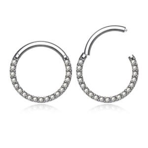Surgical-steel-hinged-septum-segment-rings-with-cz-16g-ssg12hczb__33509